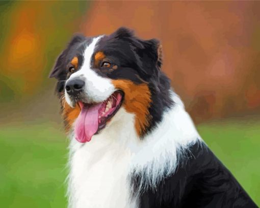 Black Tri Australian Shepherd Diamond Painting