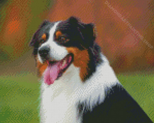 Black Tri Australian Shepherd Diamond Painting