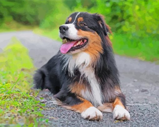 Black Tri Australian Shepherd With Tongue Out Diamond Painting