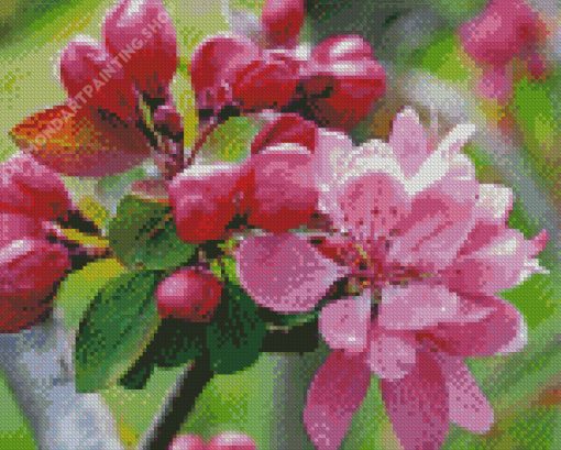 Bright Pink Flowers Blooming On Tree Branch Diamond Painting