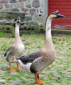 Chinese Geese In The Garden Diamond Painting