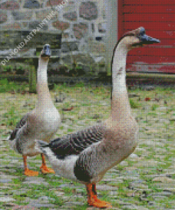 Chinese Geese In The Garden Diamond Painting