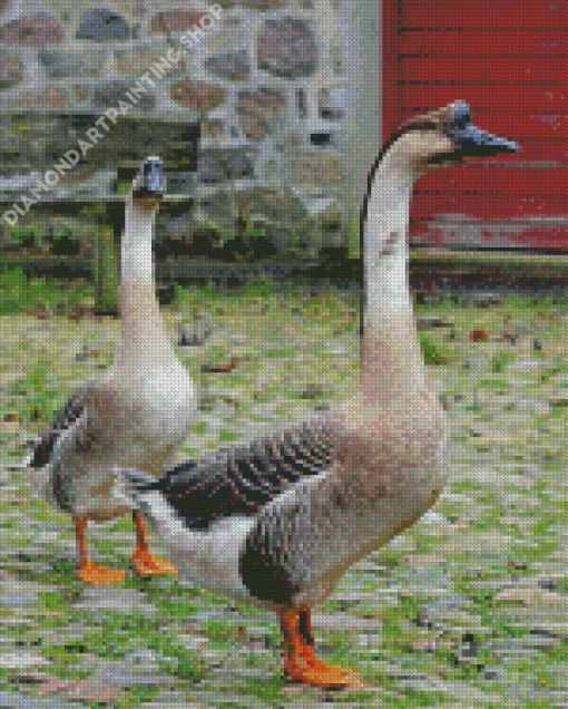 Chinese Geese In The Garden Diamond Painting