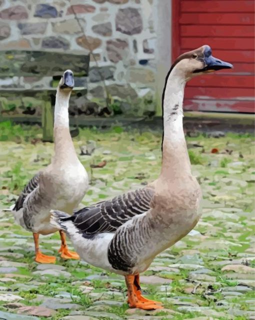 Chinese Geese In The Garden Diamond Painting