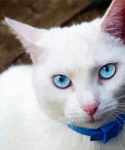 Cute White Cat With Blue Eyes Diamond Painting