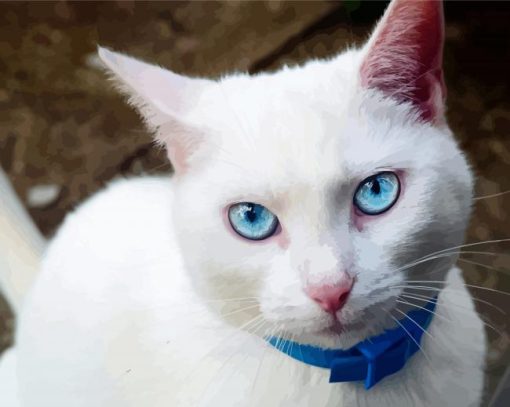 Cute White Cat With Blue Eyes Diamond Painting