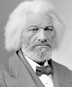 Frederick Douglass Diamond Painting