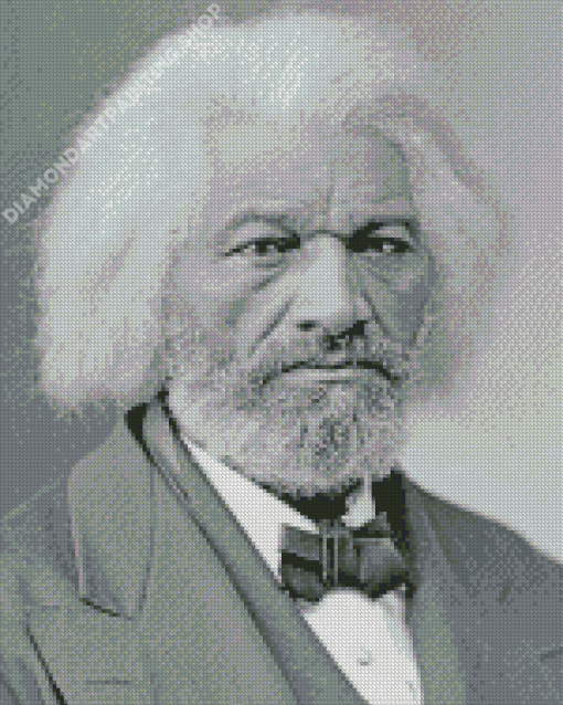 Frederick Douglass Diamond Painting