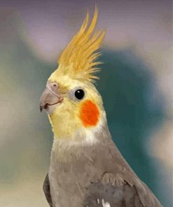 Cockatiel Parrot Bird Diamond Painting