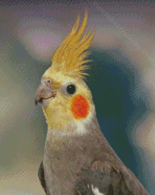 Cockatiel Parrot Bird Diamond Painting