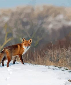 Fox Snow Animal Diamond Painting