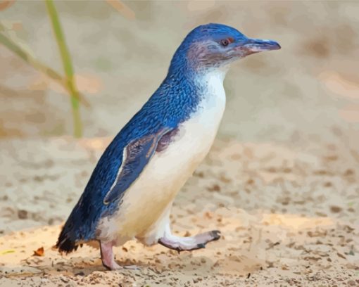 Australian Fairy Penguin Diamond painting