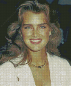 Beautiful Actress Brooke Shields Diamond Painting