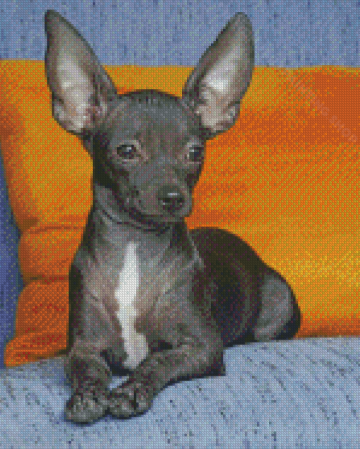 Black Chihuahua Diamond Painting