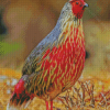 Blood Pheasant Bird Diamond Painting