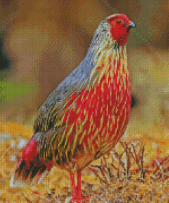 Blood Pheasant Bird Diamond Painting