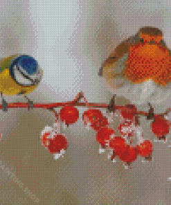 Blue Tit And Robin Birds Diamond Painting