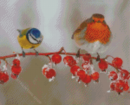 Blue Tit And Robin Birds Diamond Painting