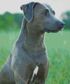 Blue Lacy Diamond Painting