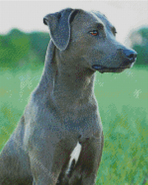 Blue Lacy Diamond Painting