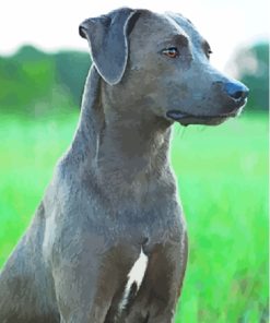 Blue Lacy Diamond Painting