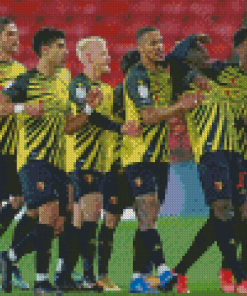 Watford FC Players Diamond Painting