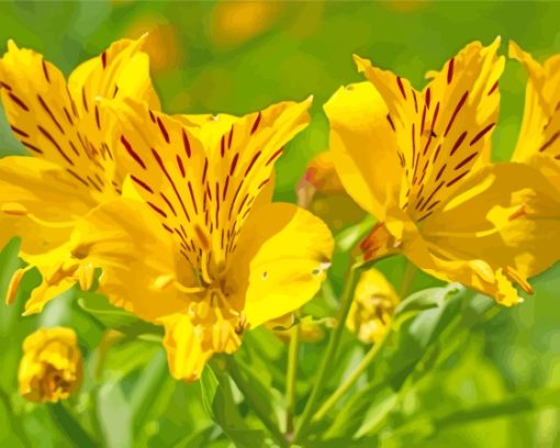 Yellow Alstroemeria Flowers Plant Diamond Painting