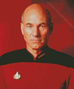 Aesthetic Captain Picard Diamond Painting