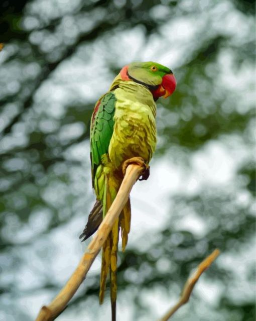 Alexandrine Parakeet On A Branch Diamond Painting