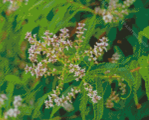 Aloysia Plant Diamond Painting