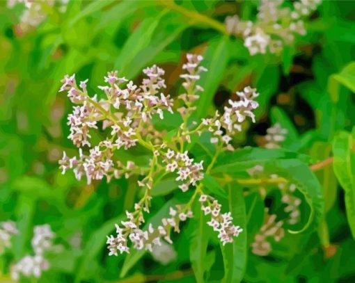 Aloysia Plant Diamond Painting