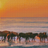 Assateague Island Horses At Sunset Diamond Painting