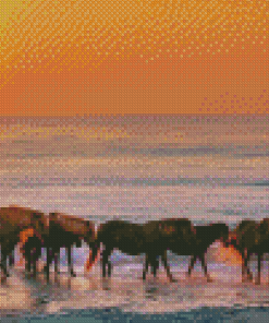 Assateague Island Horses At Sunset Diamond Painting