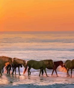 Assateague Island Horses At Sunset Diamond Painting