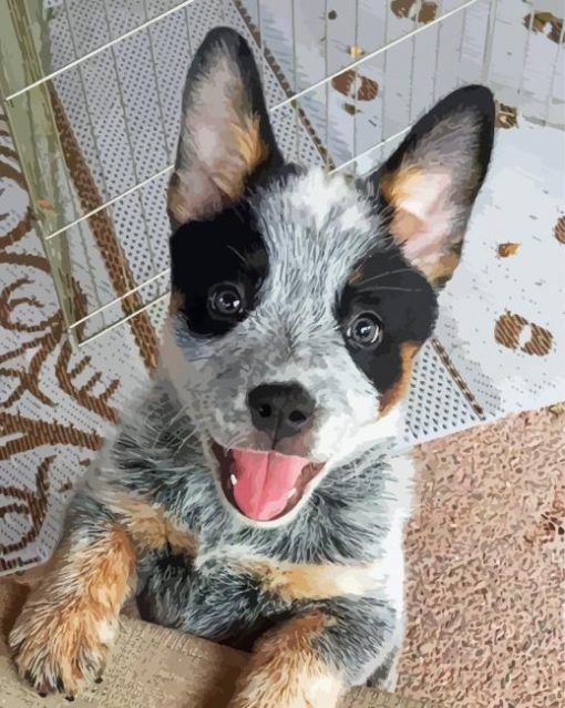 Baby Texas Heeler Diamond Painting