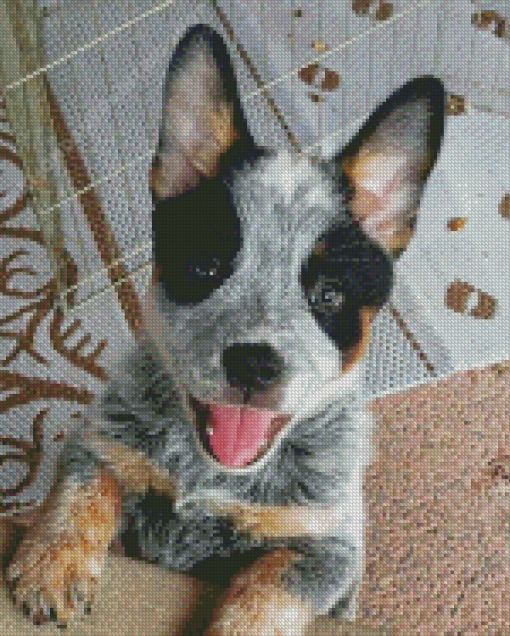 Baby Texas Heeler Diamond Painting