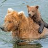 Bear And Cub In Water Diamond Painting