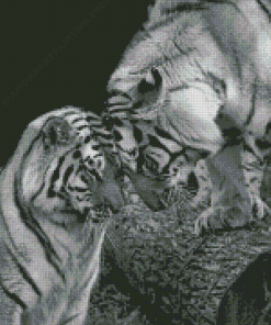 Black And White Tigers In Love Diamond Painting