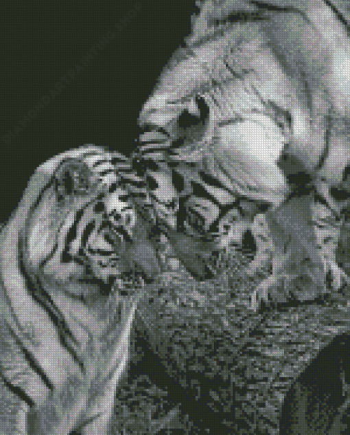 Black And White Tigers In Love Diamond Painting