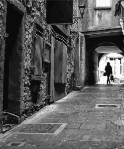 Black And White Kilkenny Alleys Diamond Painting