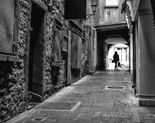 Black And White Kilkenny Alleys Diamond Painting