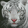 Blue Eyes Tiger Diamond Painting