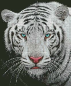 Blue Eyes Tiger Diamond Painting