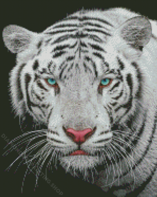 Blue Eyes Tiger Diamond Painting