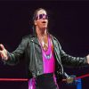 Bret Hart Diamond Painting