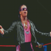 Bret Hart Diamond Painting