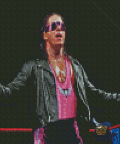 Bret Hart Diamond Painting