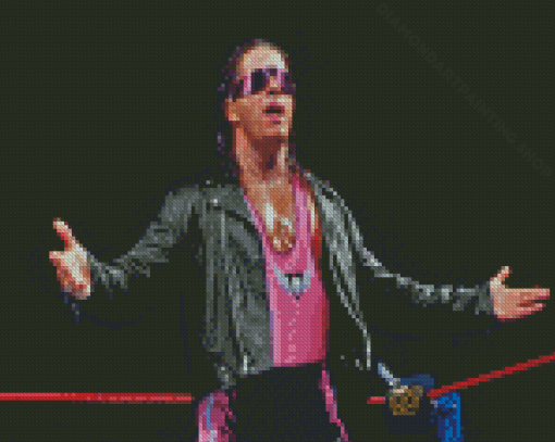 Bret Hart Diamond Painting