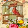 Caged Birds Diamond Painting