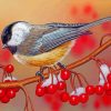 Chickadees And Berries Diamond Painting